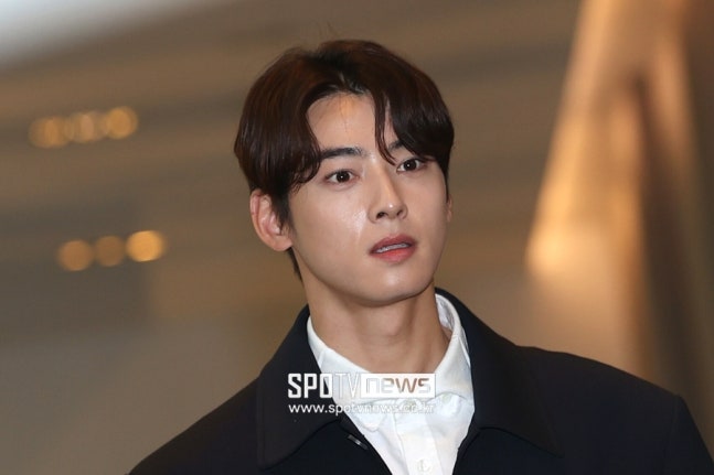 차은우, 세금 200억 아닌 130억 냈다…"중복 과세 환급"[공식입장]