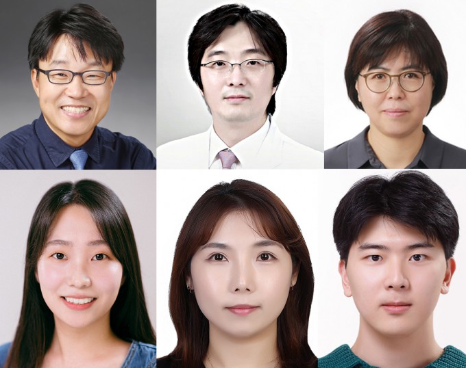 (윗줄 왼쪽부터 시계 방향) 박한수 GIST 교수, 이세훈 삼성서울병원 교수, 황금숙 KBSI 부원장, 김윤재 GIST 학생, 이주은 KBSI 박사, 김수정 GIST 학생. GIST 제공.