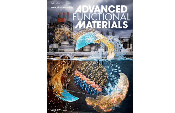 최재우 KIST 물자원순환연구단 책임연구원과 김진영 수소·연료전지연구단 책임연구원이 티타늄을 기반으로 한 친환경 팔라듐 회수 기술을 개발했다.연구결과는 국제 학술지 '어드밴스드 펑셔널 머터리얼즈' 최신 호에 실렸으