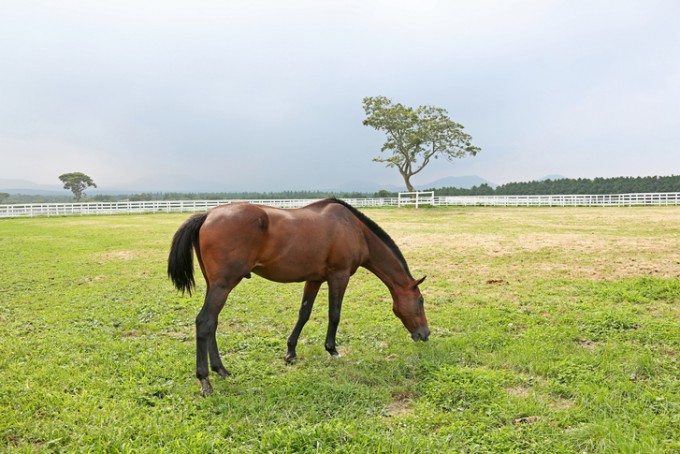 게티이미지뱅크 제공