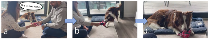 제3자 사이의 대화에서 새 장난감 이름을 언급하면 개가 엿듣고 기억할 수 있는지 확인하는 실험 과정 일부.Dror et al.(2026)/Science 제공