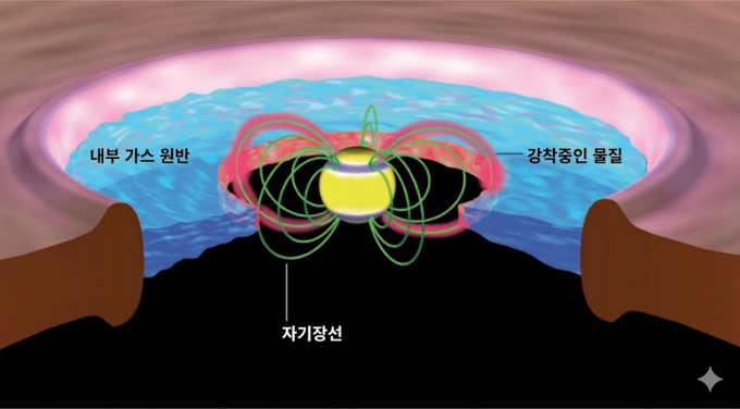 태아별이 성장하는 과정을 단면으로 나타낸 그림.태아별과 가까운 원시행성계원반 안쪽에서는 먼지 입자가 파괴되고 남은 기체가 자기장선을 따라 태아별로 유입된다.독일 막스플랑크 연구소 그래픽 부서(MPIA graphi