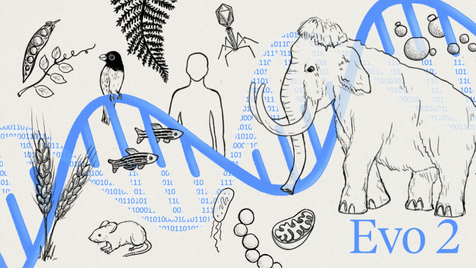 에보 2는 인간과 박테리아, 식물, 매머드 등 12만8000종 이상의 생물체에서 추출한 염기서열 9.3조개를 수개월간 학습했다. Arc Institute 제공
