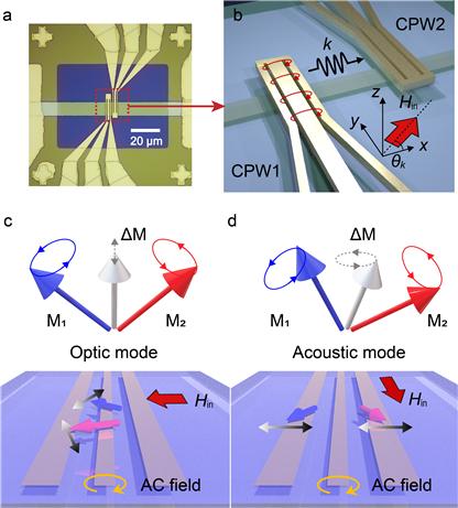합성 반강자성체(SAF) 구조와 스핀파 전파 소자 개요. 두 안테나 사이에서 스핀파가 전파되며 안테나와 자기장의 상대적 방향에 따라 스핀파가 급격히 변화하는 '모드 점프' 현상이 일어난다. KAIST 제공