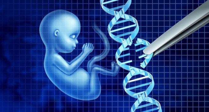韓 연구진 포함 과학자들, 인간 배아서 첫 염기 초정밀 교정
