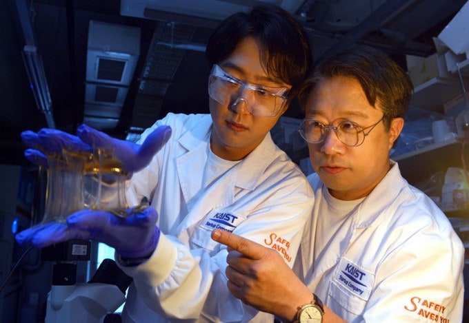 [과기원NOW] KAIST, 차·과일 천연 성분으로 상처 치료·약물전달 패치용 젤 소재 개발 外
