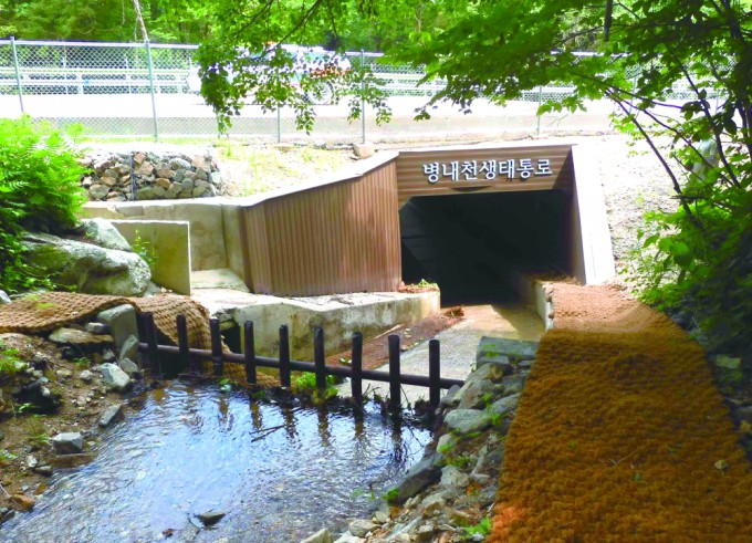 국립공원 생태통로 중 로드킬 감소율 1위인 오대산 생태통로.국립공원공단 제공