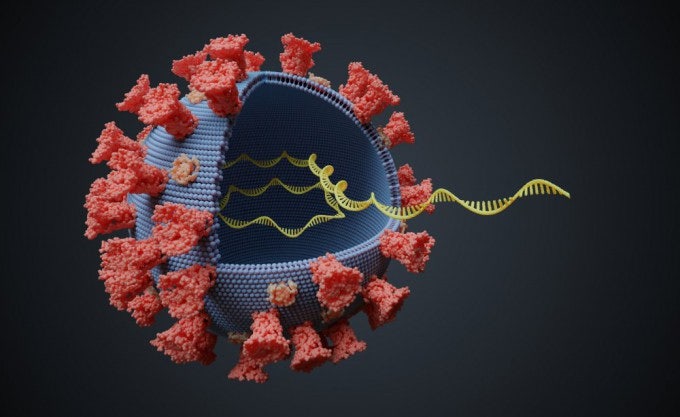 <b>mRNA 수명 3배</b> 늘려 백신 성능 높인다