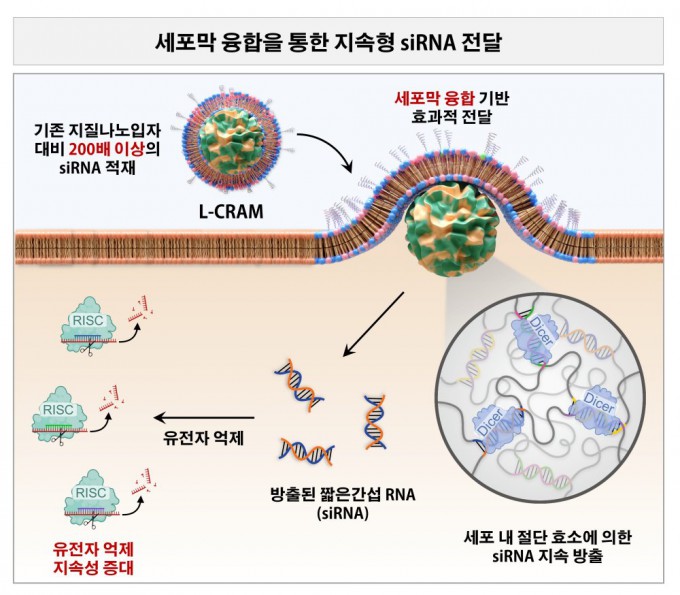 L-CRAM 작동 원리 개념도.이종범 교수 제공