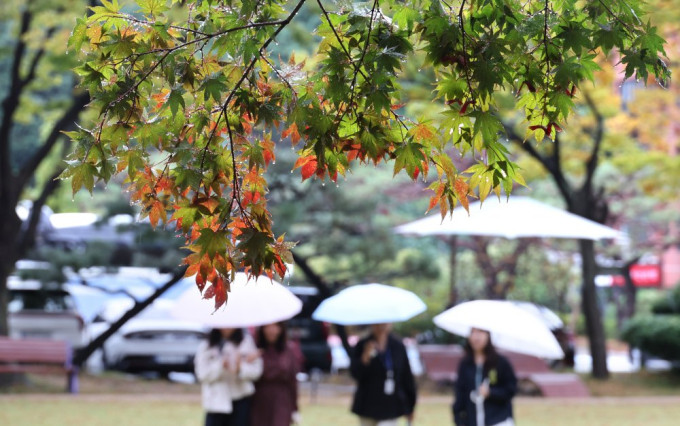 제30호 태풍 '참피'의 영향으로 남부지방과 제주도를 중심으로 비가 내리고 남해상에 강한 바람이 불 것으로 예상된다. 연합뉴스 제공