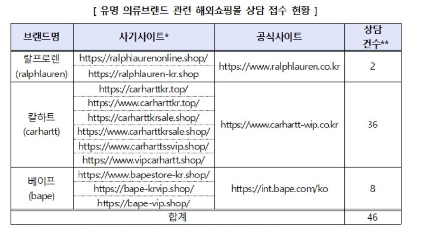 소비자 상담이 접수된 해외 사이트 주소 ⓒ소비자원 제공