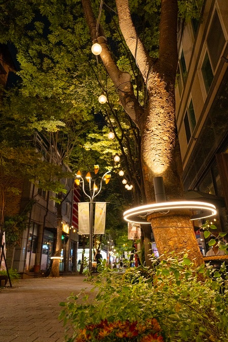 [경기 24시] 경기관광공사, 용인 <b>보정동</b> <b>카페거리</b> '<b>코지가든</b>' 새단장