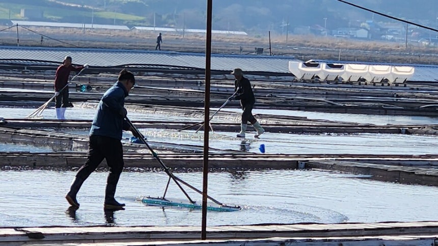 ‘강제 노동’ 논란에 휘말렸던 전남 신안의 태평염전이 국가유산청에 국가등록문화유산 등록 말소를 신청한 사실이 뒤늦게 알려져 논란이 일고 있다. 등록된 지 18년 만에 국가등록문화유