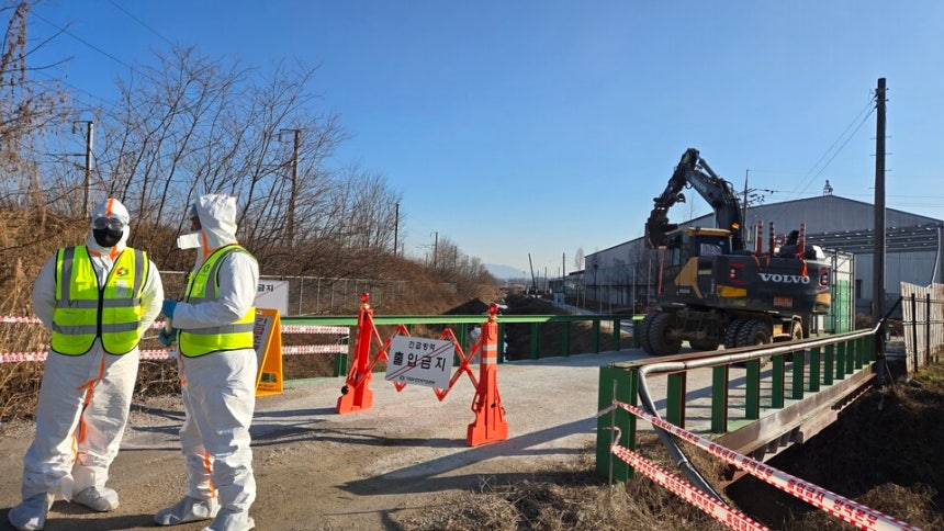 18일 천안 성환읍의 한 산란계 농가에서 H5형 조류인플루엔자(AI) 항원이 검출돼 방역 당국이 출입을 통제하고 있다.  ⓒ 박인옥 기자