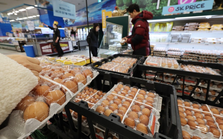 25일 축산물품질평가원 축산유통정보에 따르면,계란 특란 한 판(30개) 평균 소비자가격은  7000원을 넘었다.사진은 서울 한 대형마트의 계란 판매대 모습 ⓒ 연합뉴스