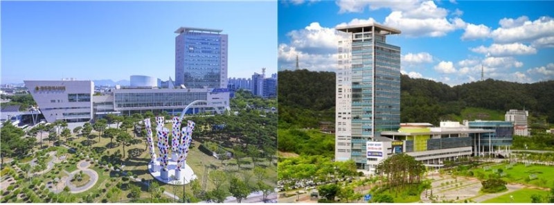 "현금성 복지의 역습"…전남광주특별시 '쩐의 딜레마'에 빠졌다