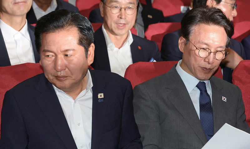 "친명 유리, 친청 불리?"…與 전대 불씨 된 '선호투표' 뭐길래
