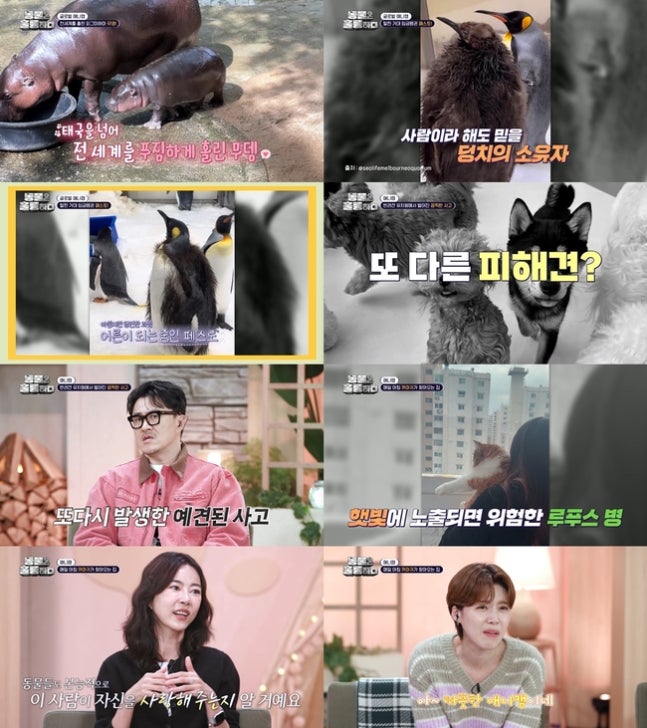 장도연, 특별한 동거에 감동 "진정한 애니멀 테라피” (동물은 훌륭하다) | 인스티즈