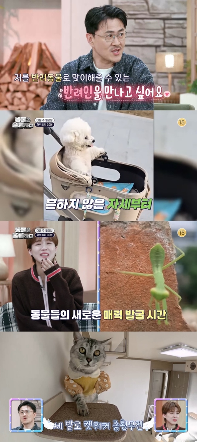 30㎏ 뺀 데프콘 “날 반려동물로 맞이해줄 반려인 만나고파” 선언(동훌륭)