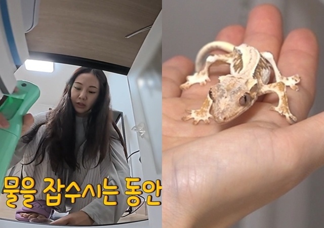 “팔다리 앙상하고 너무 말라” <b>한지은</b>, 반려 <b>도마뱀 학대 논란</b>