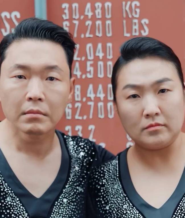 <b>이수지</b>, 닮은꼴 싸이 ‘흠뻑쇼’ 솔직 후기 “무대 30초만 허무함+공허...