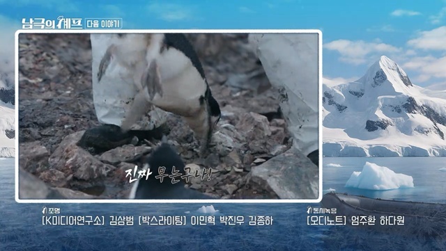‘<b>남극의셰프</b>’ 측, <b>동물학대</b> 의혹에 “출연자 아닌 연구원이 펭귄 들어...
