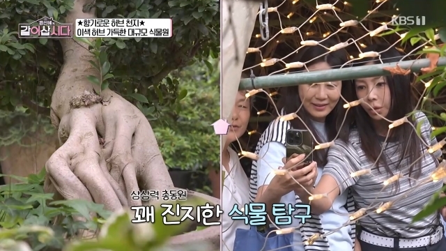 황신혜 상상력 총동원 식물 탐구에 신계숙 “보는 눈이 야해”(<b>같이</b>삽시...
