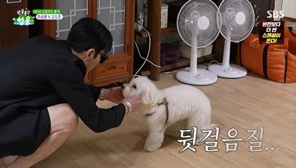 [정보/소식] 임영웅 반려견, 도베르만 포스 차승원 등장에 꼬리 말고 도망 (산골총각) | 인스티즈