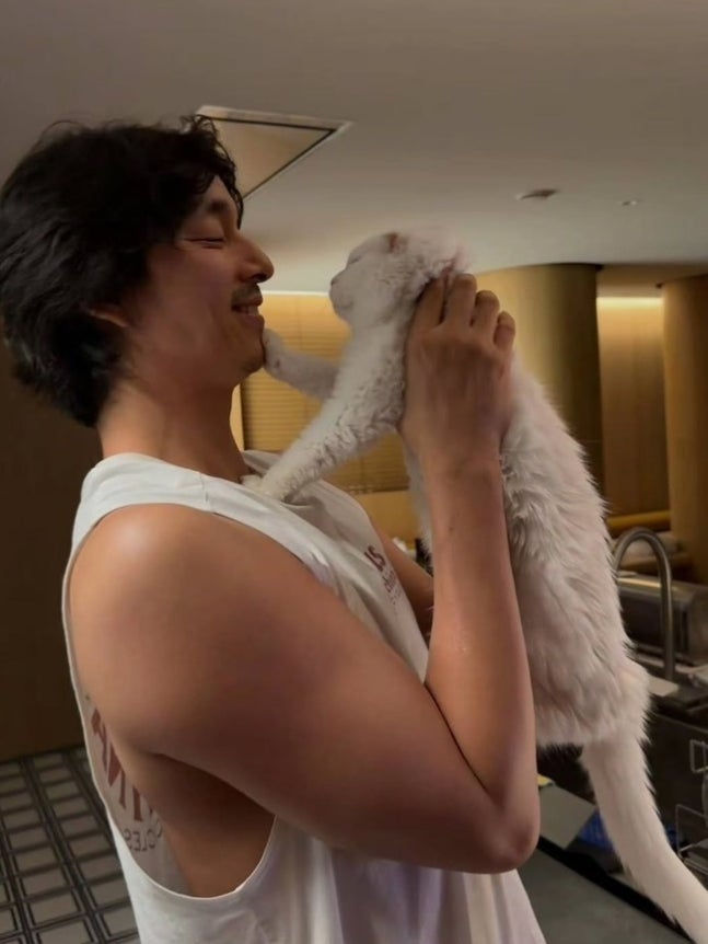 board-img