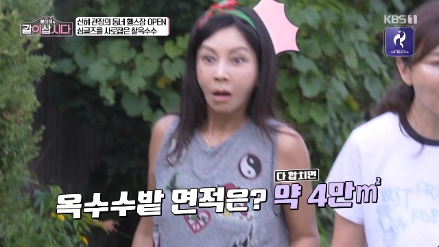 <b>황신혜</b>, 12000평 옥수수 대농 만났다 “완전 부자”(<b>같이삽시다</b>)