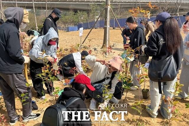 Korean news article image