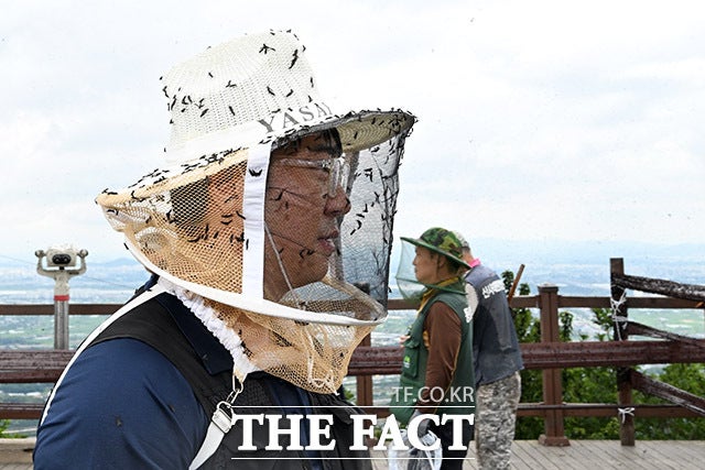 끝이 보이지 않는 러브버그 무리들.