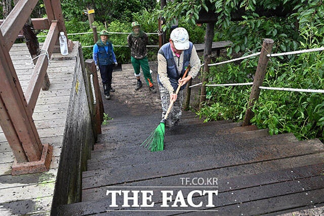 관계자들이 러브버그의 사체를 청소하고 있다.