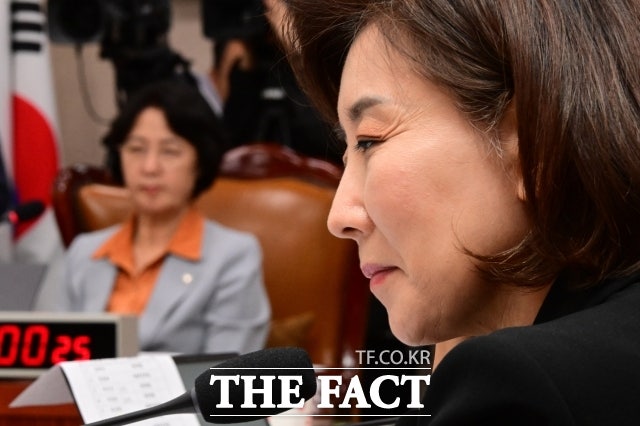 <b>나경원</b> "<b>경기도지사 출마</b>? 정중히 <b>사양</b>한다"