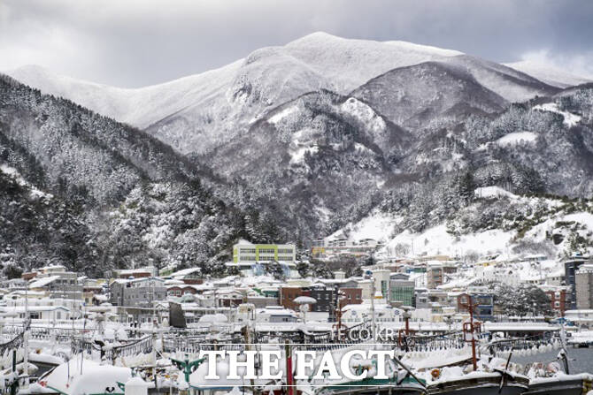 하얀 겨울옷을 갈아입을 울릉도 풍경./독자제공