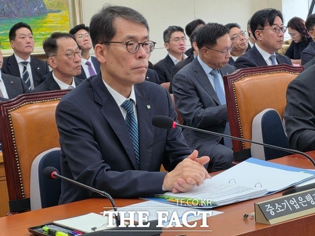 김성태 중소기업은행장이 지난 10월 20일 서울 여의도 국회에서 열린 정무위원회의 금융위원회 등에 대한 국정감사에 출석해 질의에 답하고 있다./국회=이선영 기자