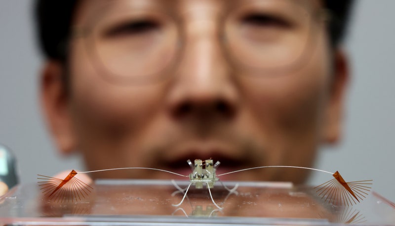 0000079385_001_20251103193513921.jpg?type=w800