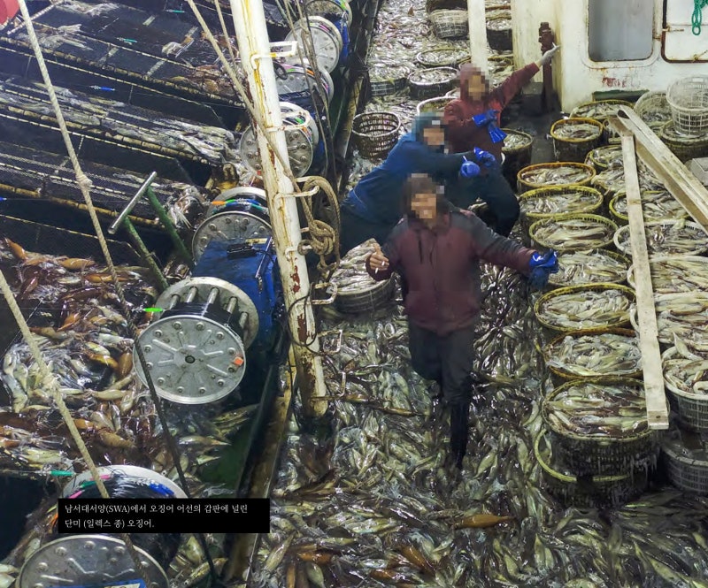 Overfishing, secret signals and crew abuse: Report by British group details violations aboard Chinese vessels