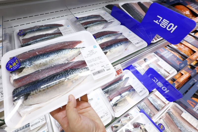Korea dispatches a 'mackerel envoy' to Norway as prices spike