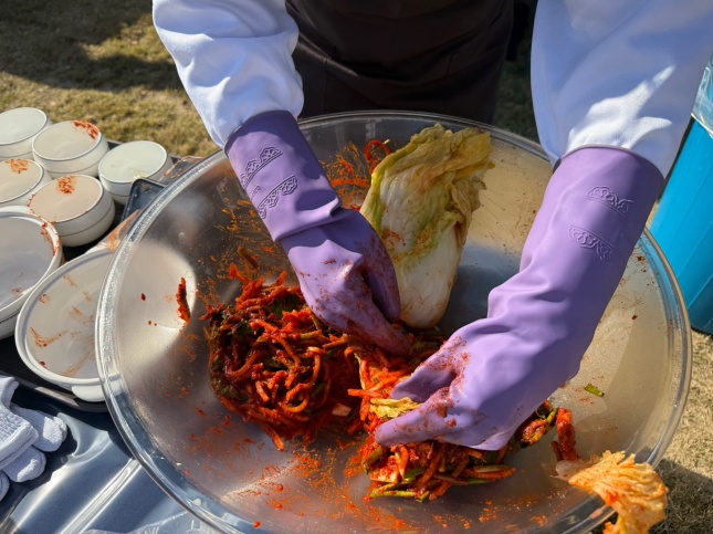 행사 참여 고객이 절인 배추에 속을 넣고 있다./사진=김다이 기자 @neverdie