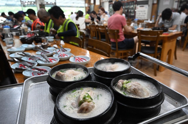 '<b>초복</b>' 강원 내륙 무더위 속 소나기·…남부·제주 장맛비