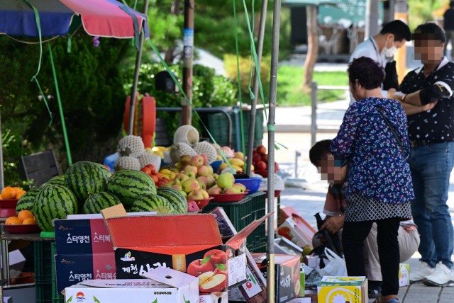 "올 <b>추석 차례상</b> 평균 <b>비용</b> 20만9494원…지난해보다 1.6%↑"