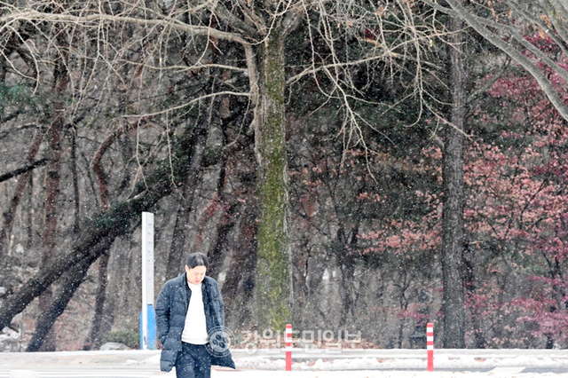 ▲Chuncheon，下雪[Gangwon -Do Min Ilbo Data Photo]