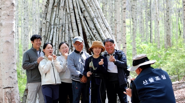 ▲ 인제군 인제읍 원대리 자작나무숲에 6일 탐방객들의 발걸음이 이어지고 있다.인제군 제공