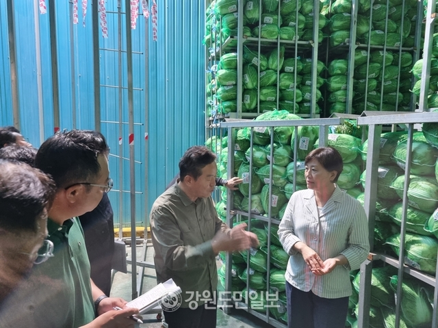 ▲ 송미령 농림축산식품부 장관은 6일 오전 평창군내 배추 재배지와 채소 출하조절시설을 돌아 보고 여름철 배추, 무 등 채소 수급에 만전을 기해 줄 것을 당부했다. 채소출하조절시설에서 이준연 대관령원예농협장과 대화를 