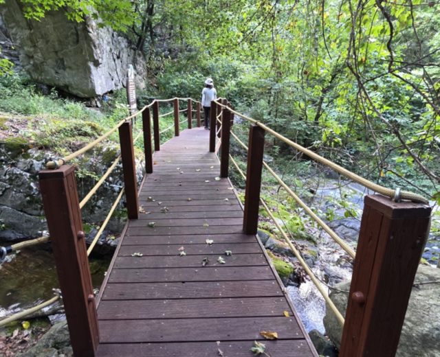 ▲ 동해소금길 모습.