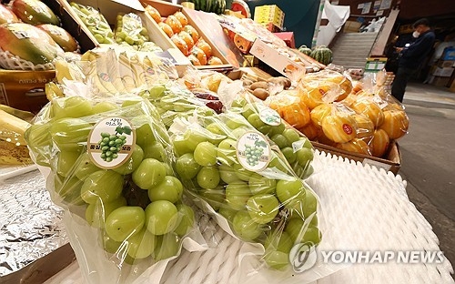 ▲ 샤인머스캣 [연합뉴스 자료사진]