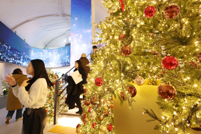 ▲ 24일 서울 광진구 뚝섬한강공원 자벌레 '한강플플'을 찾은 시민들이 크리스마스 트리를 구경하고 있다.연합뉴스