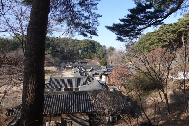 ▲ 선교장의 청룡줄기 끝에서