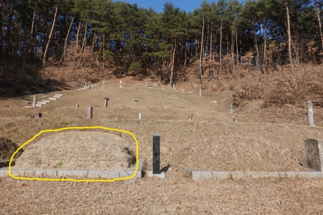 ▲ 15대 종손(노란색 원)과 그의 부모님 묘소